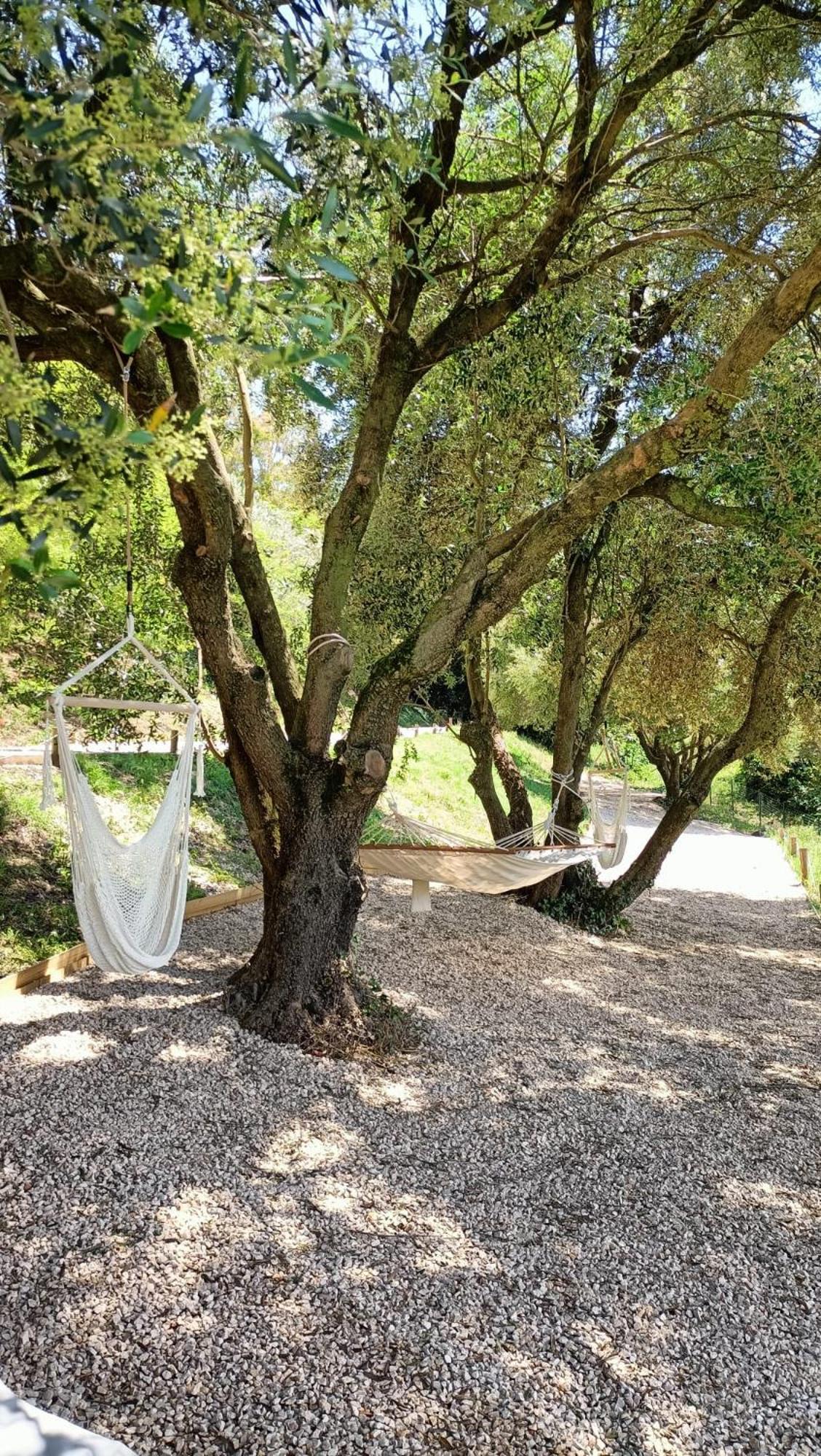 Bed and Breakfast Tuffudesu Experience (Adults Only) Osilo Exterior foto